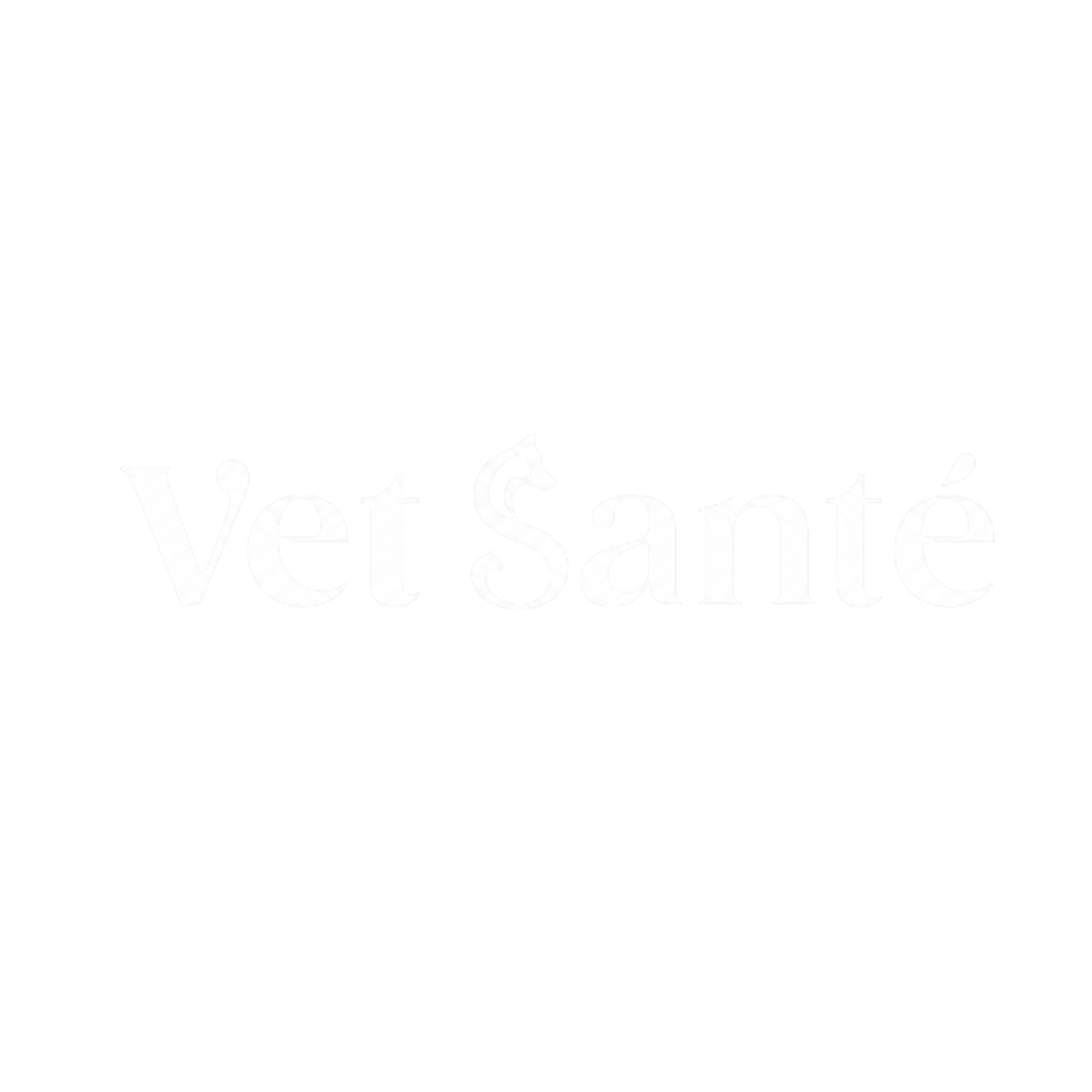 Vet Santé